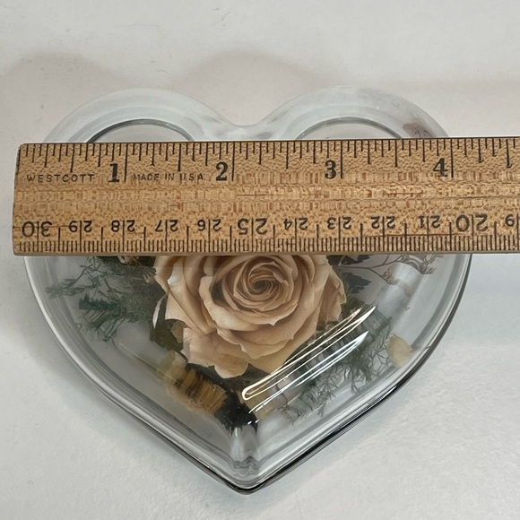 Natural Expressions Real Freeze Dried Rose Clear Glass Heart Paperweight Cottage - Picture 5 of 7